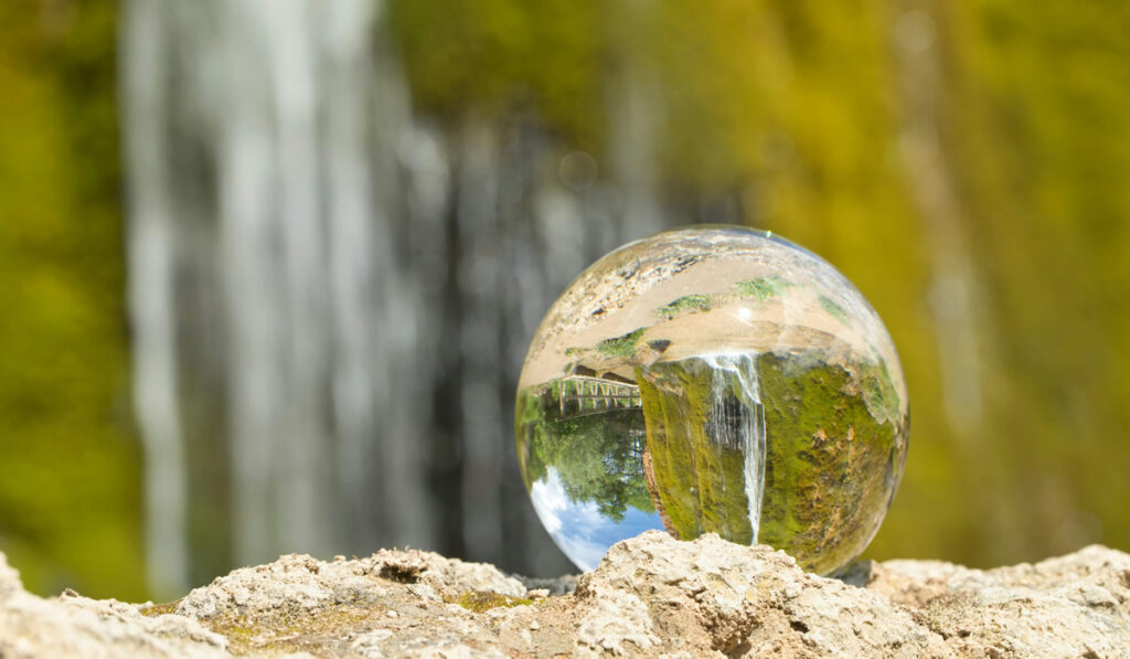 Dia mundial do meio ambiente – Nossa Terra. Nosso Futuro.